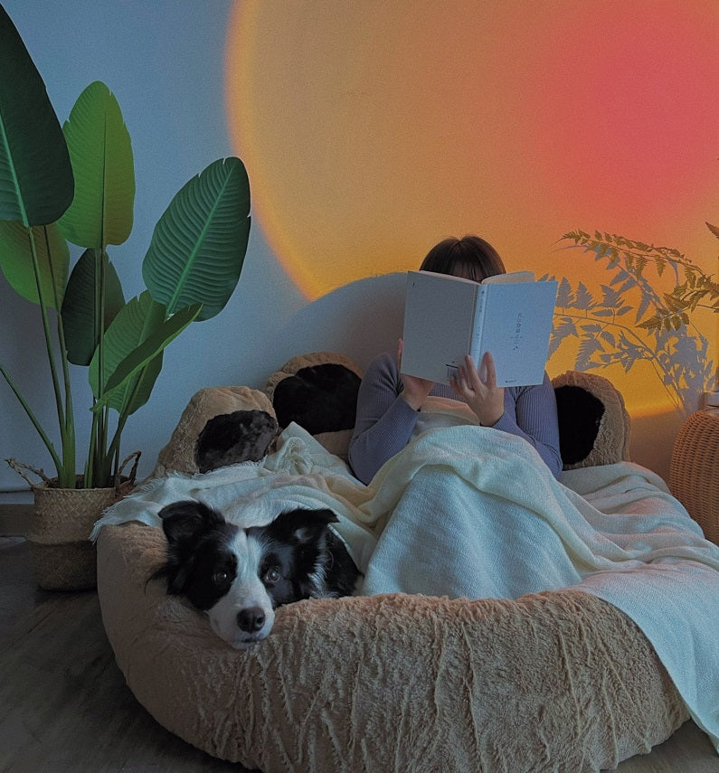 Winter warm pet supplies Four Seasons